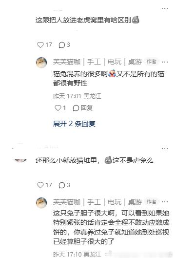 13663🐇【求举报】一只兔子一堆猫*所以猫咖里为什么要养兔子？给猫玩的？说的