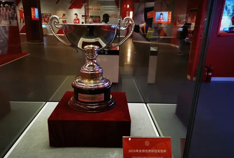 惜败总决赛，最终还是打了个人新组建的中国女排，一路凯歌打进世联赛总决赛，虽然惜