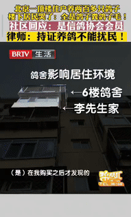 2025年6月，北京一男子花235万元买套房子，结果楼上邻居养了200多只鸽子，