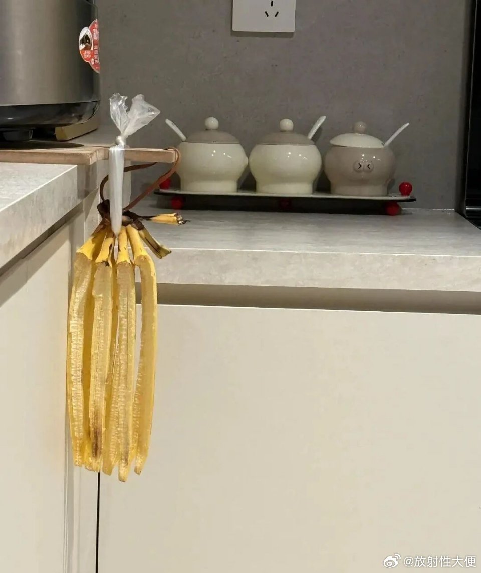 谁说的香蕉挂起来不容易坏的？