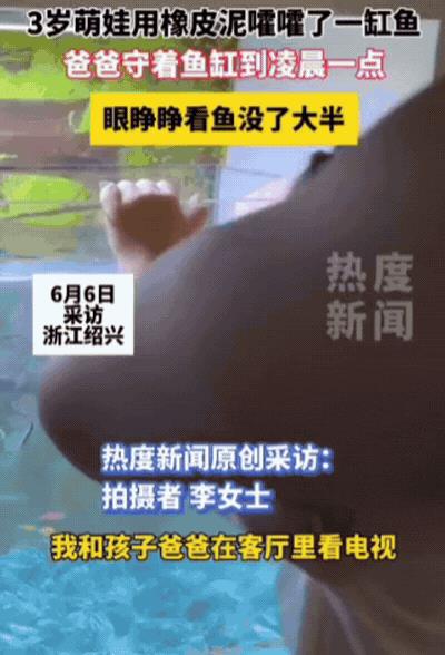 “太悲催了！”浙江绍兴，父母在客厅看电视，女儿突然走向鱼缸，爸爸意识到不对劲，赶