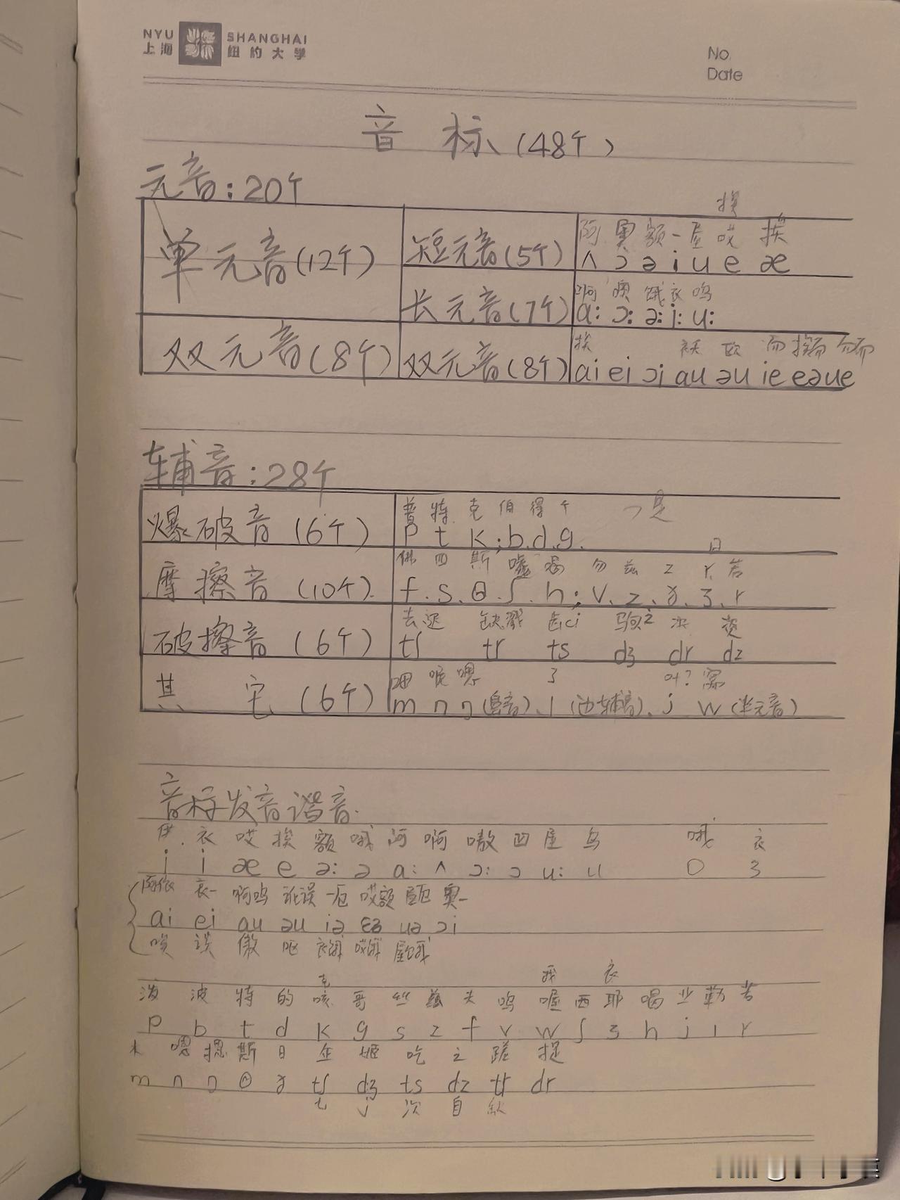今日起，我开启了自学英语之旅，从音标入手。“书到用时方恨少”，这话真是一点不假