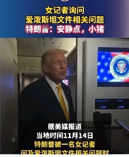 格林坚持要公开爱泼斯坦案档案，背后竟牵扯出一桩惊天大案！特朗普与昔日盟友格林