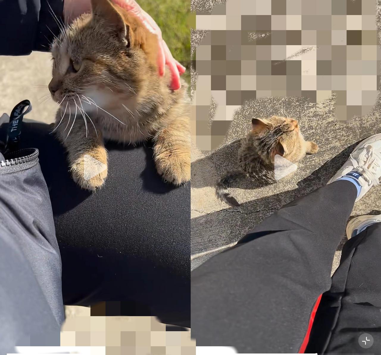 家人们，谁懂啊！五年的等待，换来一场奇迹般的重逢。五年前的冬夜，海棠