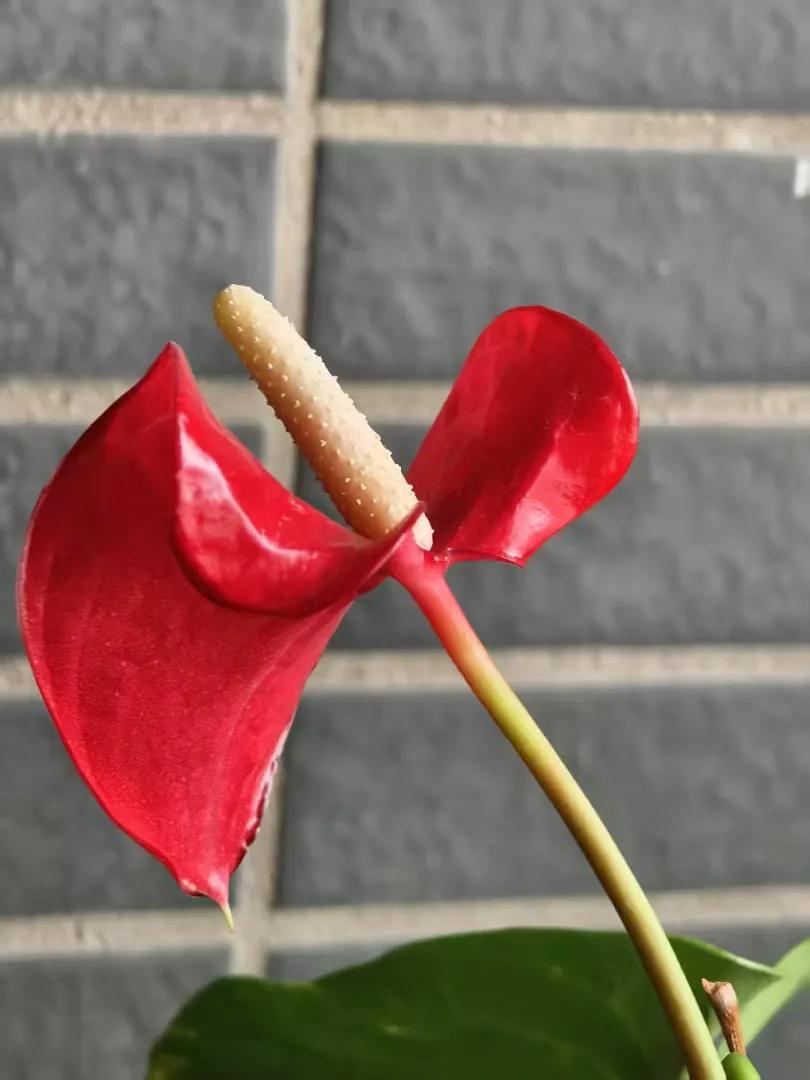 前天晚上同学聚会，说是聚会，是小小范围的那种，5个人，只有一个女同学，70后，5