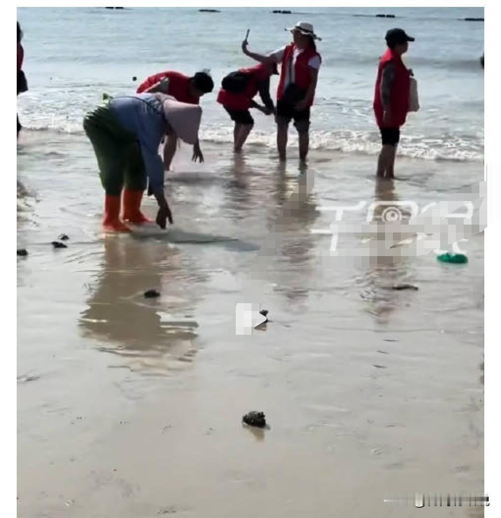 这真是魔怔了，有些人实在是太无知了，这不是放生，而是在杀生。1月15日广西北海