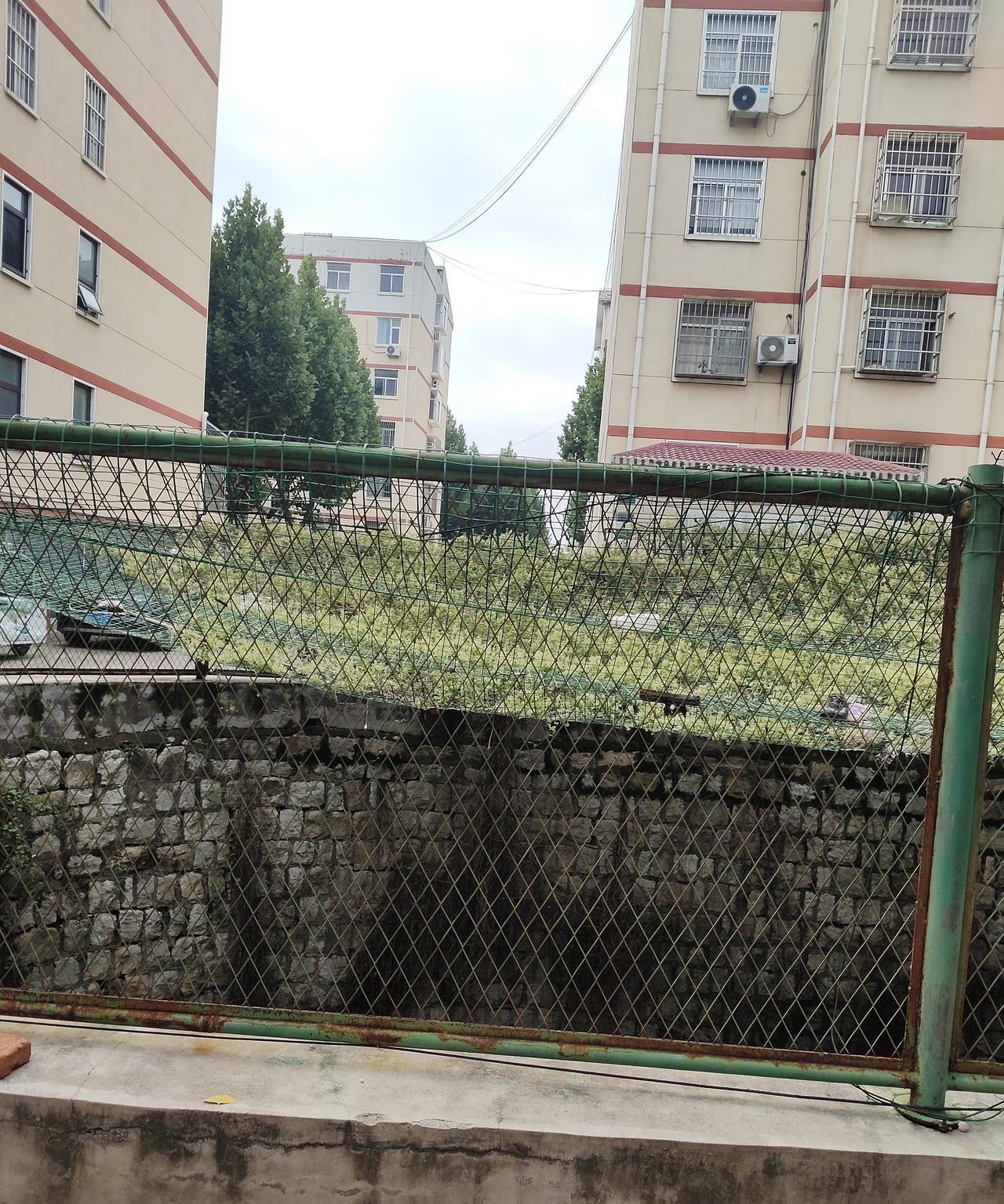 这种房子你会买吗？亲戚买房子了，非让去参观一下，不去不知道，一去吓一跳，他买的