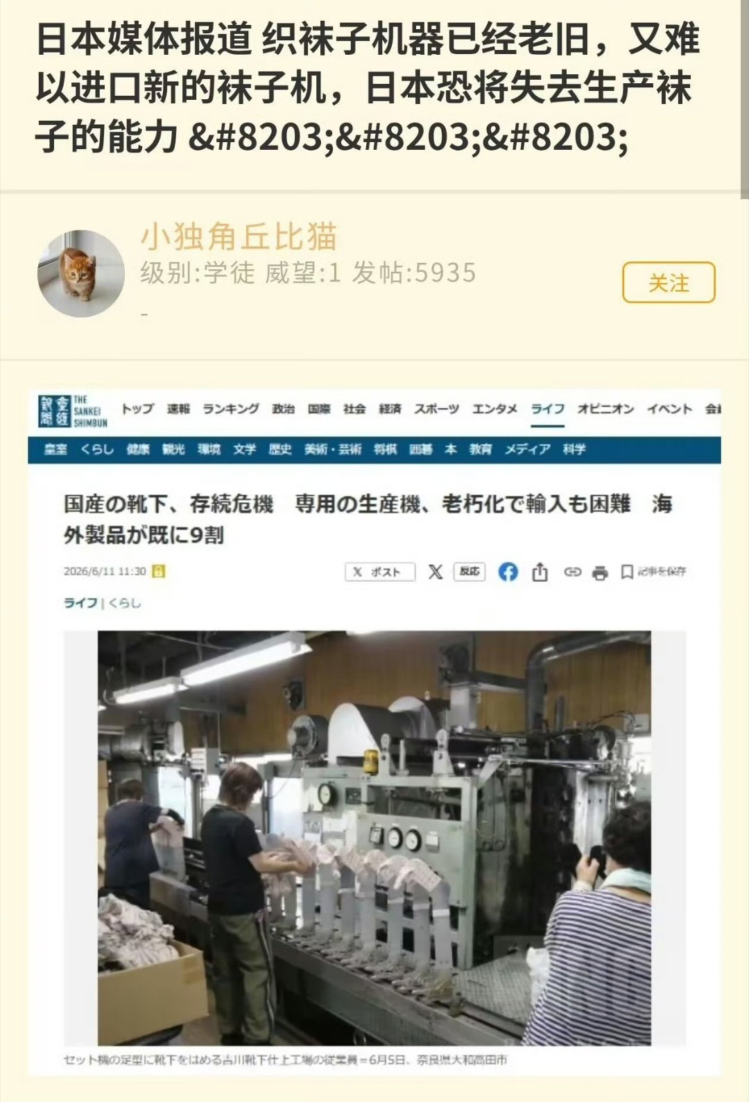 霓虹要做不出袜子了吗
