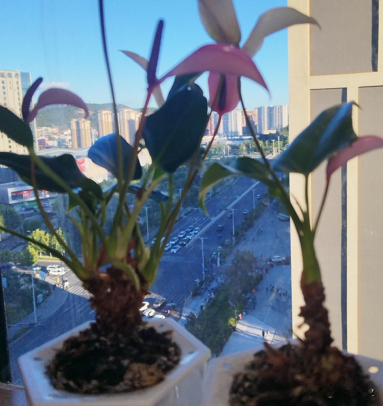 认识个大姐，她的娃儿毕业于某著名985大学，但毕业后就给一个私人老板干活，时间非