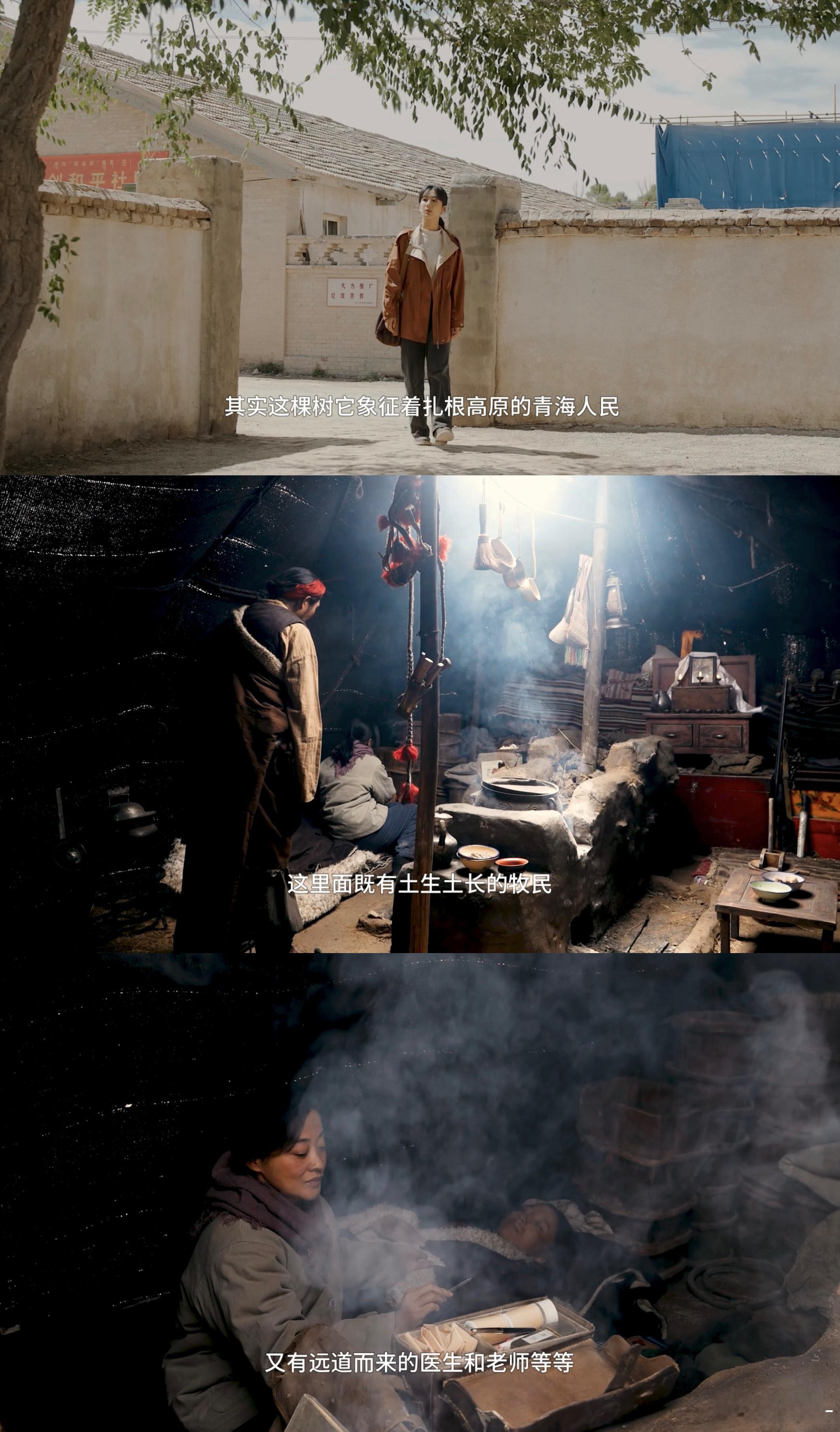 杨紫胡歌从未否认自己是舒克贝塔演员太拼了！高原实地拍摄、克服高反，杨紫胡歌用诚