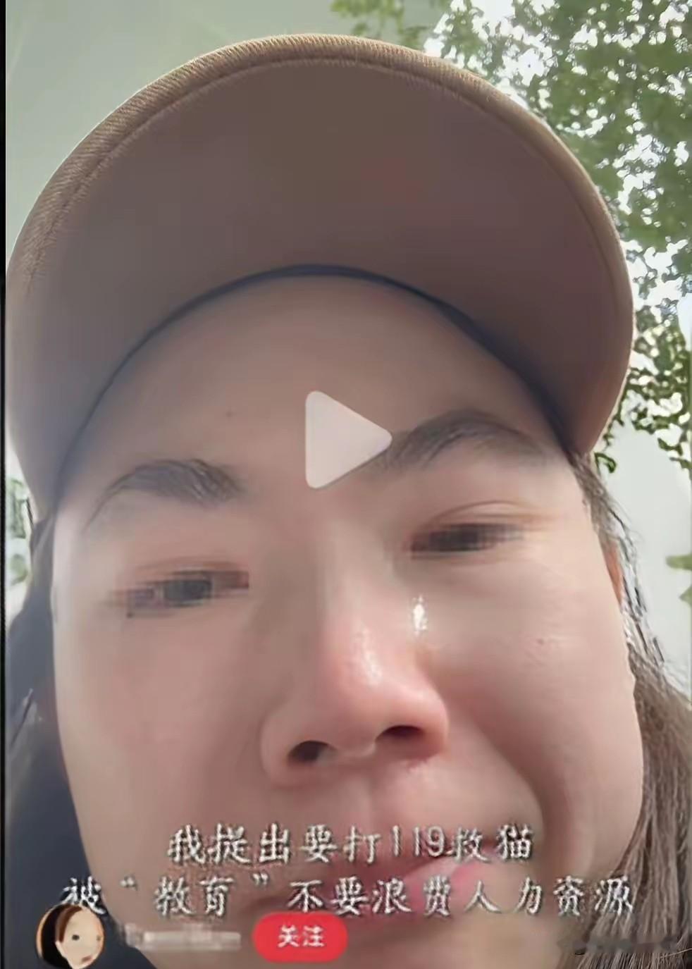 女子在上海街头看到流浪猫在树上，危险性很大，于是拨打119，想让消防队来救猫，被