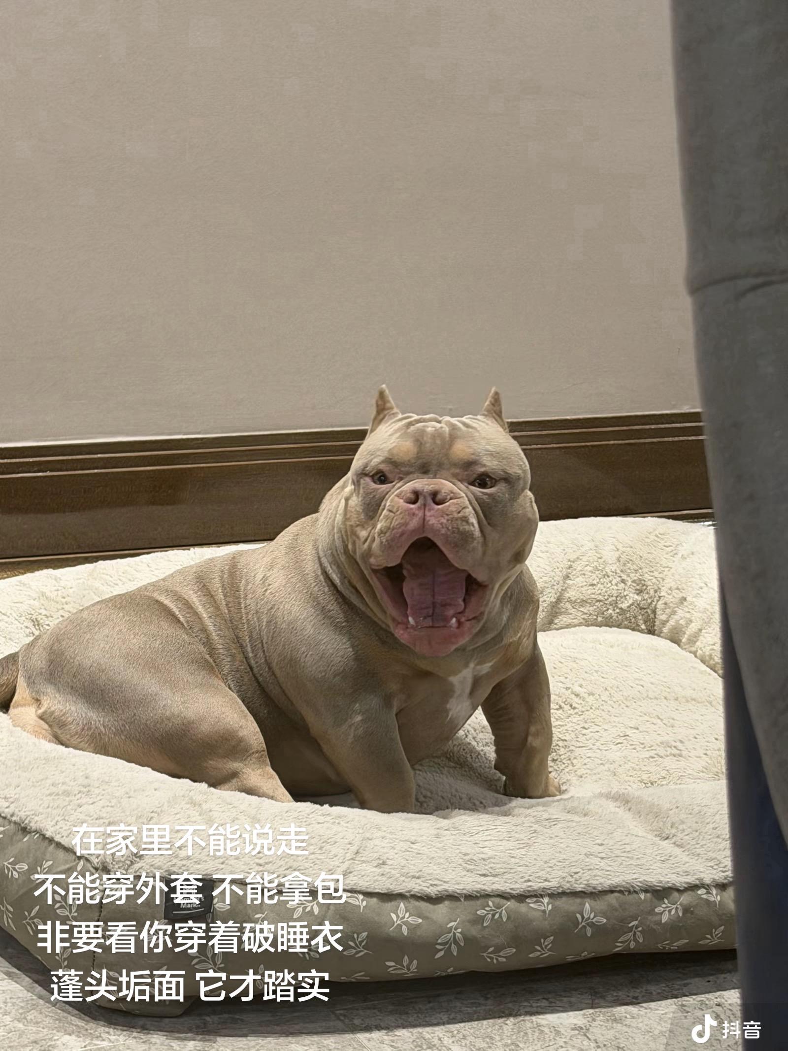 50斤48斤心眼子！