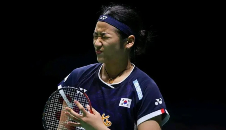 韩国著名女子羽毛球运动员安洗莹在比赛中经常眨眼睛，因此，我国球迷给她起了个形象的