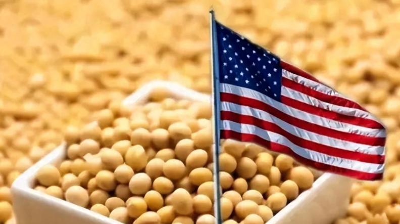 美国大豆为什么非要卖给中国？其实，站在美国的角度，三年不卖给中国大豆，扩大国内内