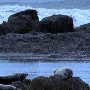 早安心语美好的一天，从清晨的阳光开始。愿你今天活力满满，拥抱新一天的所有可能。