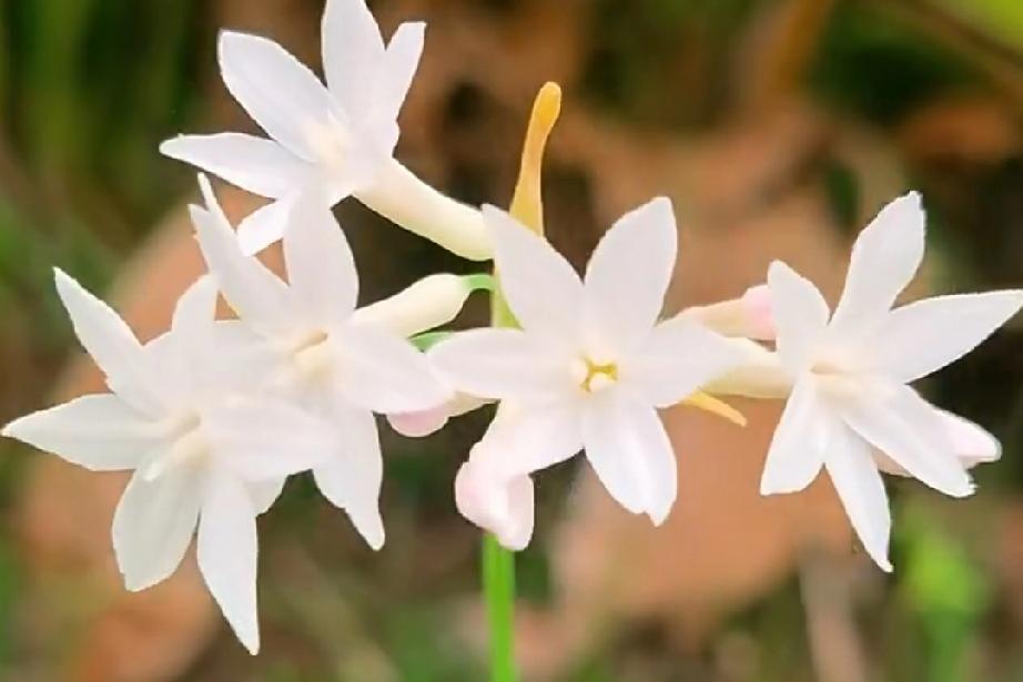 你不知道这个男人喜不喜欢你，其实从他的行为和他的态度，眼神，都能看得出来。喜欢