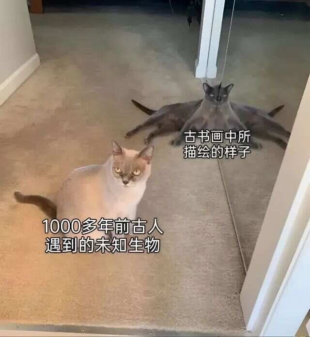 网友投稿图片选集​​​