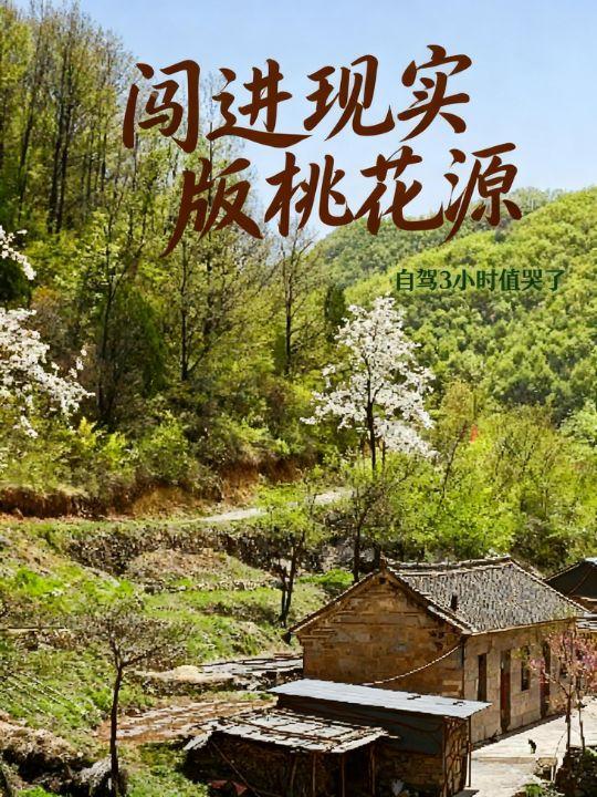 大山里的原生态 山间村落 治愈系自然风景 田园生活碎片 自然之美