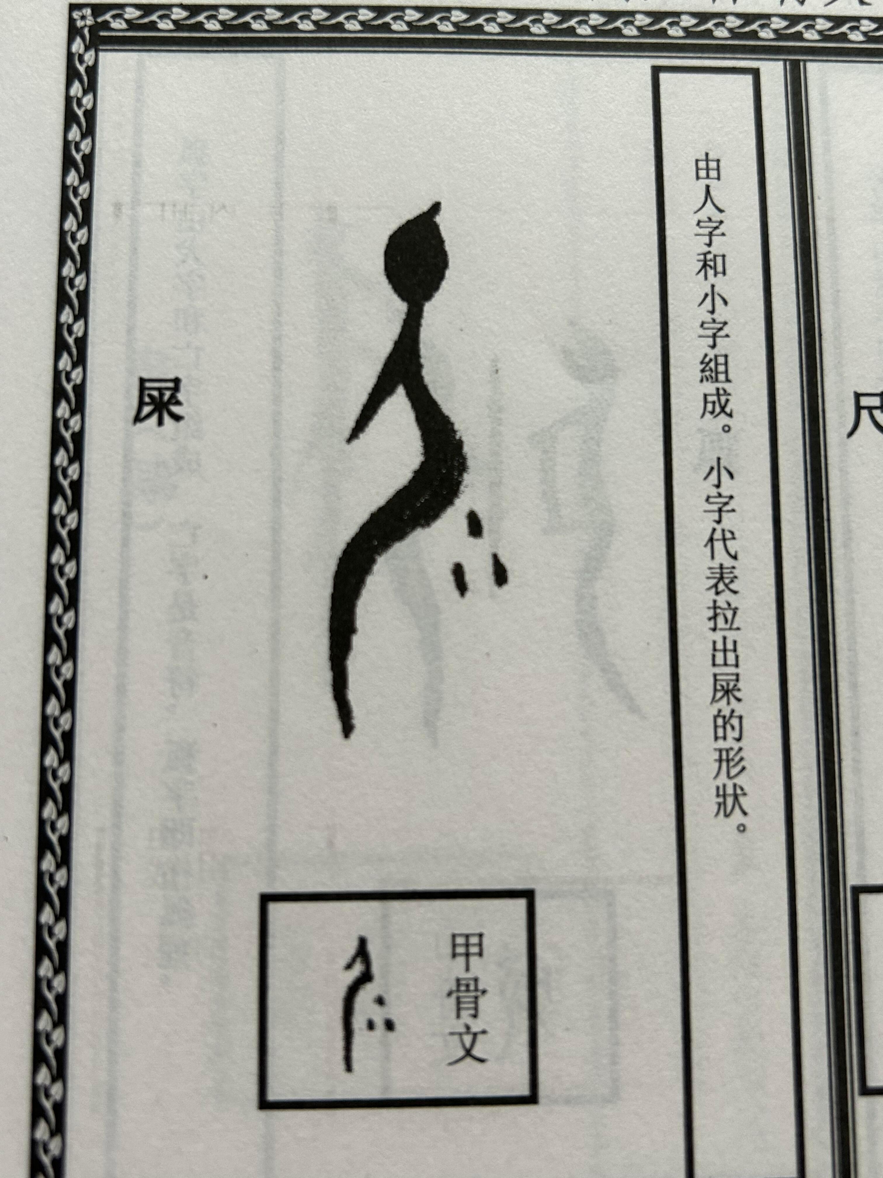 迟早要笑死在甲骨文里这也太形象了​​​