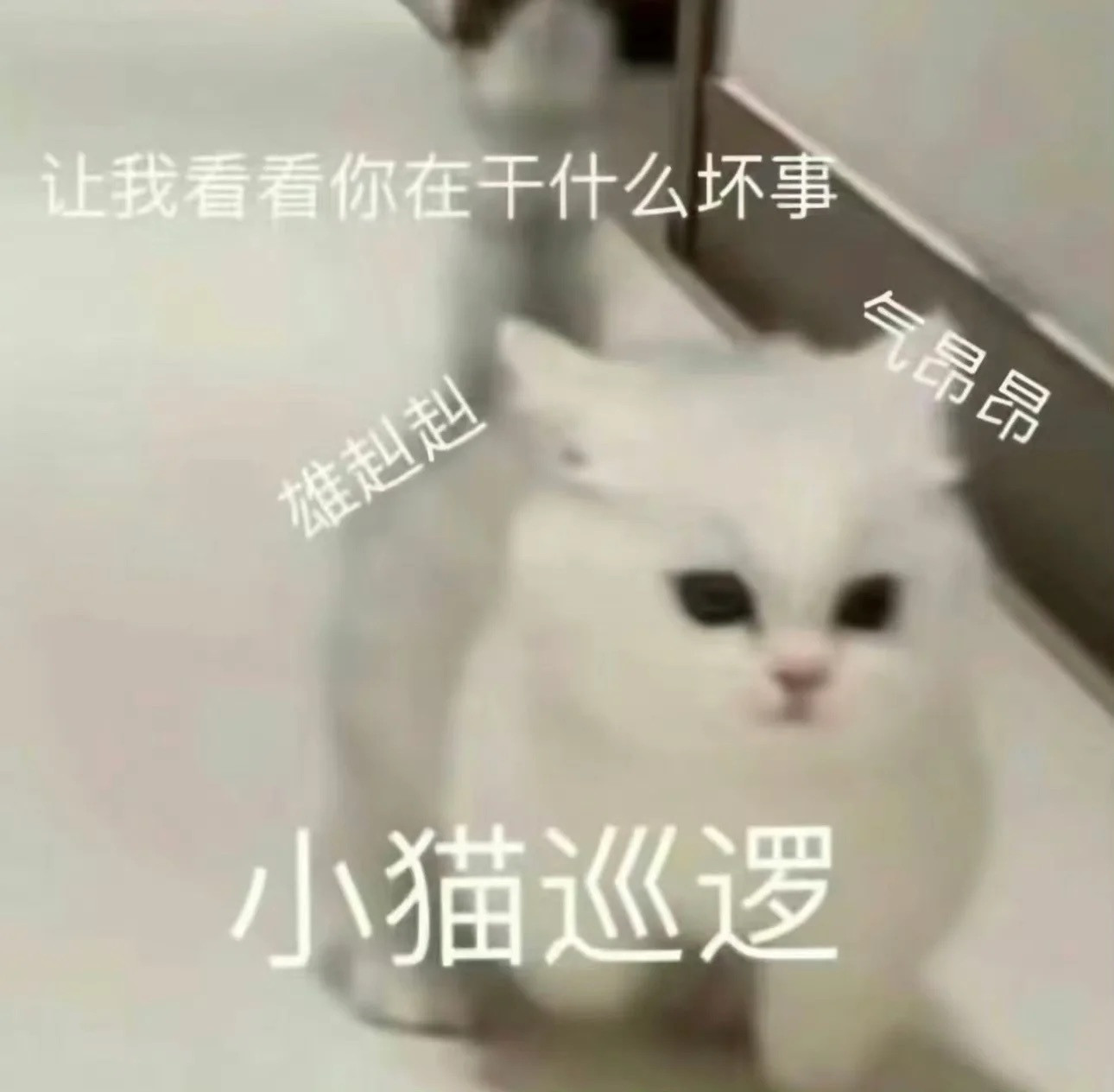 囤点贱嗖嗖欠揍表情包
