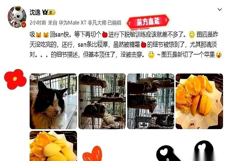 沈逸连麦A老师那场，真不是辩论，是“事故”。都以为是场高手过招，国际局势，宏大