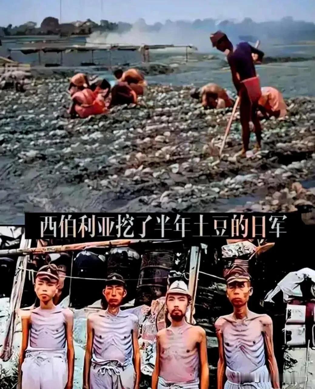 1945年，日军被苏联红军被押往了寒冷的西伯利亚。后来，活下来的日军战俘哭着回忆