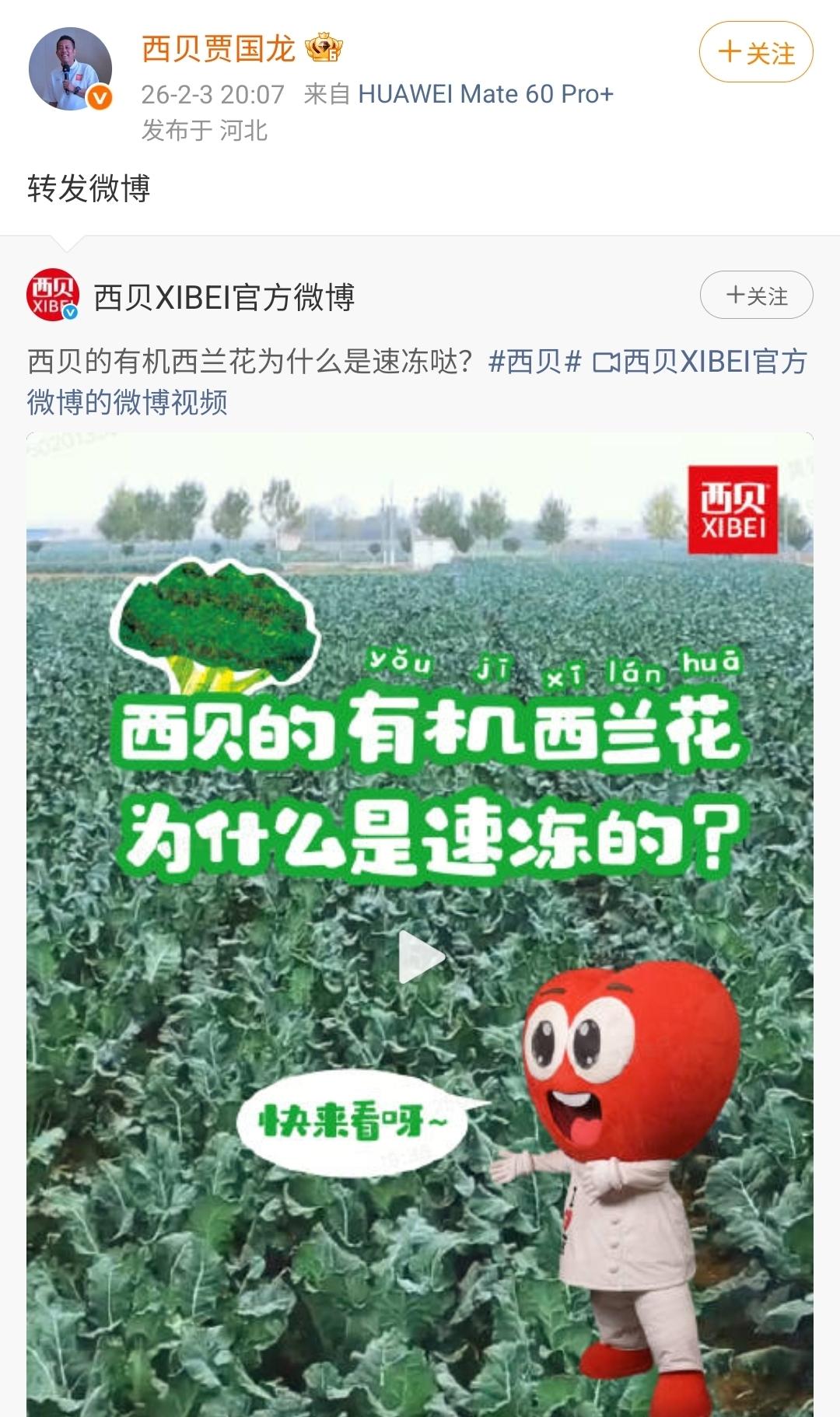 西贝贾国龙老板执念还是深呐。上次闹过一场之后，账号被禁言了，如今账号刚解封，大