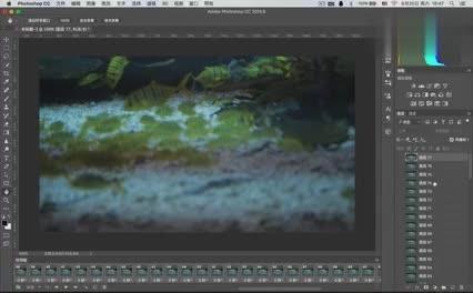 251197254592838702.jpg?id=0