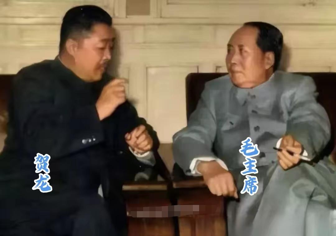 1954年，贺龙调任国家副总理，第一次在中南海参会，坐下后他发现邻座的李富春、谭