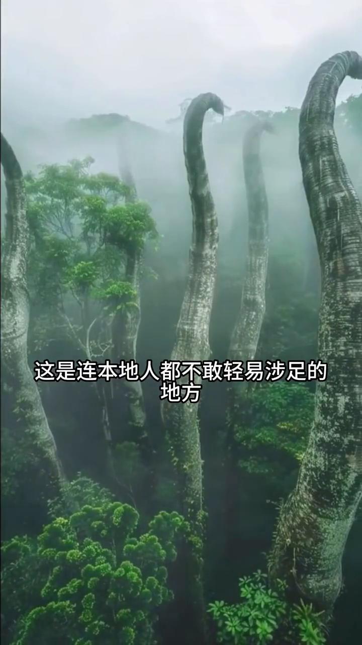云南虫谷，人类生命禁区。这是连本地人都不敢轻易涉足的地方，云南哀牢山，被称为人