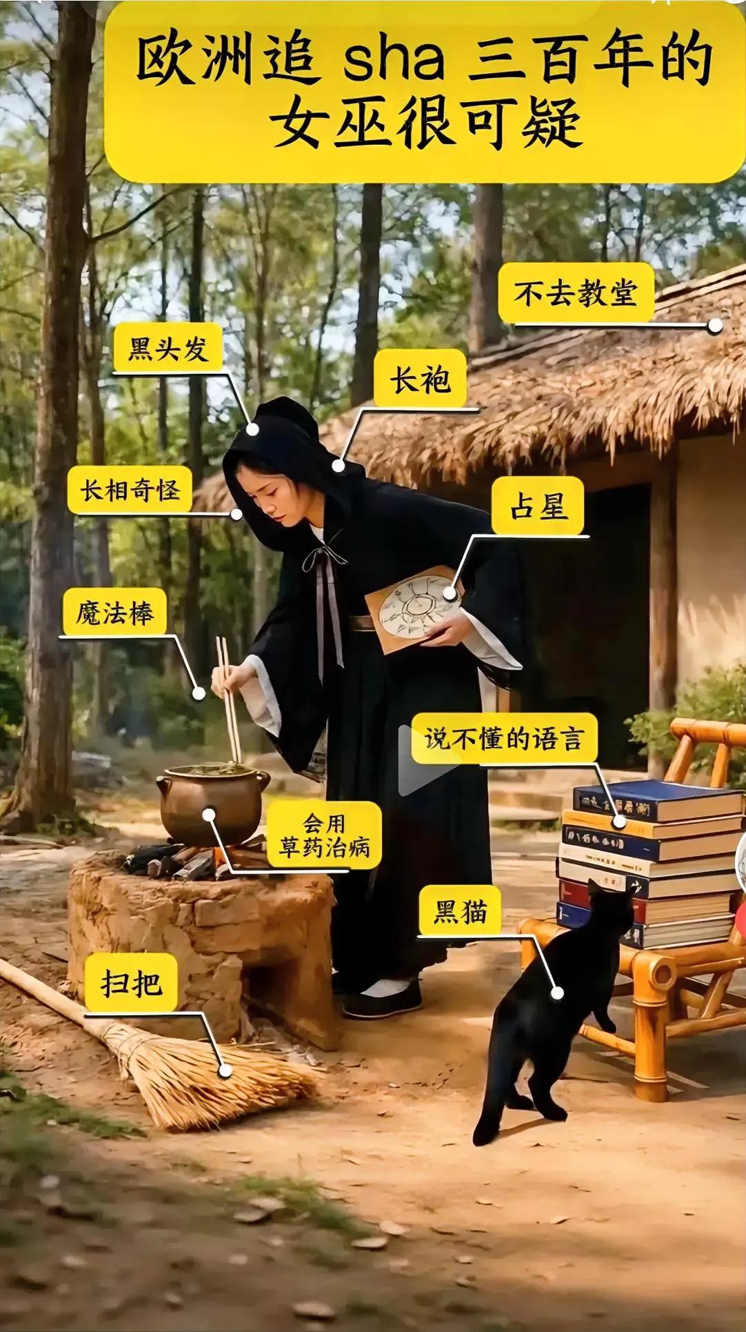 看到一个有趣的梗，中世纪欧洲猎巫三百年的定罪标准，放咱古代，民间女中医一个都跑