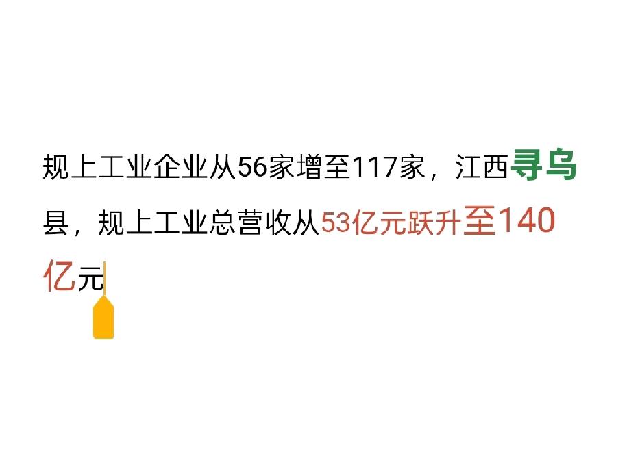 江西很多县在默默发力!用了10年时间，从无到有，从有到强。2025年，寻乌县空