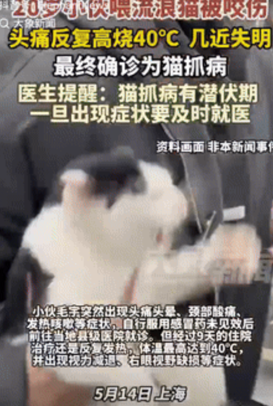 长点记性吧！上海，20岁小伙是爱猫人士，经常投喂流浪猫，不料他因为摸了一下猫咪被