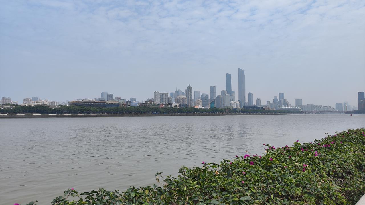 法学硕士研究生，是考法院，还是大厂法务，还是读博，去高校当老师他是985法学