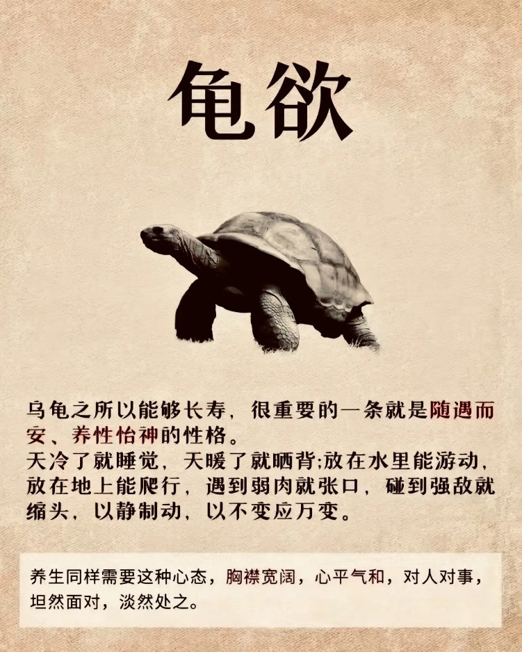 养生有道，妙不可言！养身且怡情，愿君同悟此中妙哉。