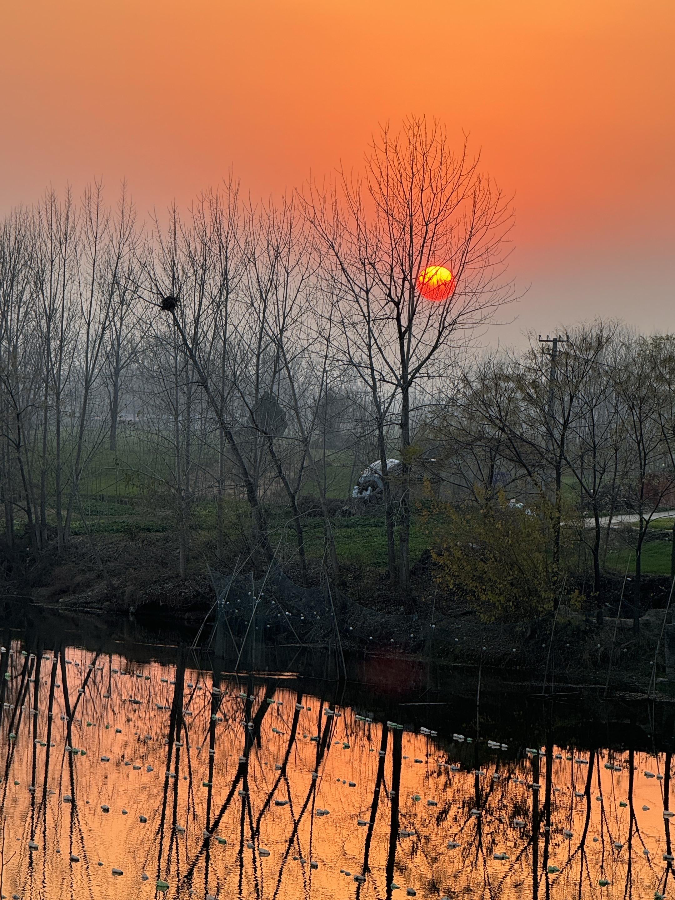村里好多老人都去世了 跟爸妈一样年纪的邻居们也都开始老了 村里嫁进来好...