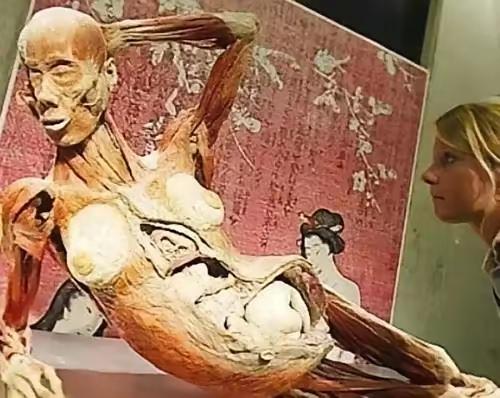 大体老师，就应该出现在讲堂上。出现在展厅，真的是艺术技术的需要吗？中国文化有死