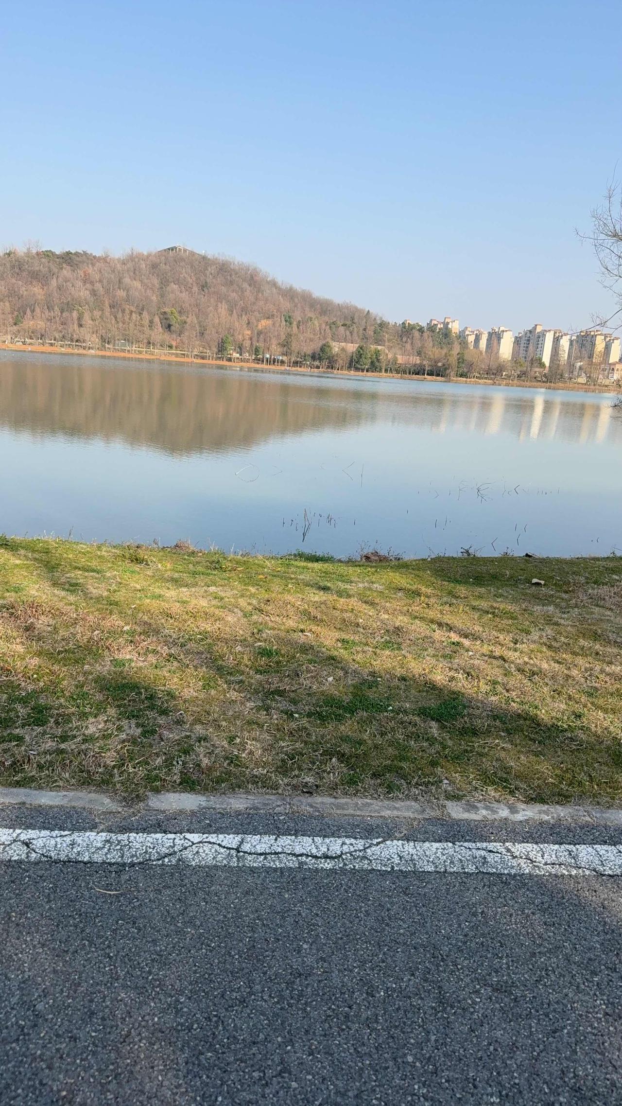 【2025年终总结】闲来无事，总结一下今年工作情况，今年是来武汉工作第6年，主