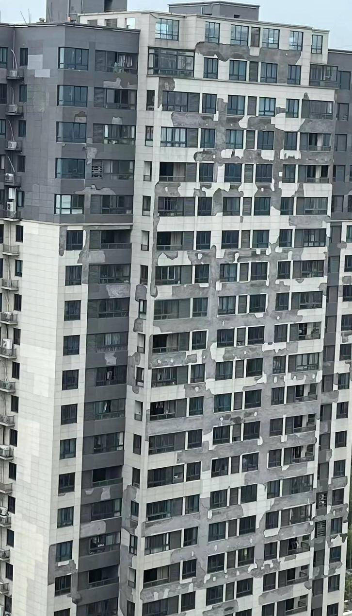 前几年房产热，嘉兴建了很多新楼盘，买房子要靠抢，不仅要排队摇号，还要被迫搭售储物