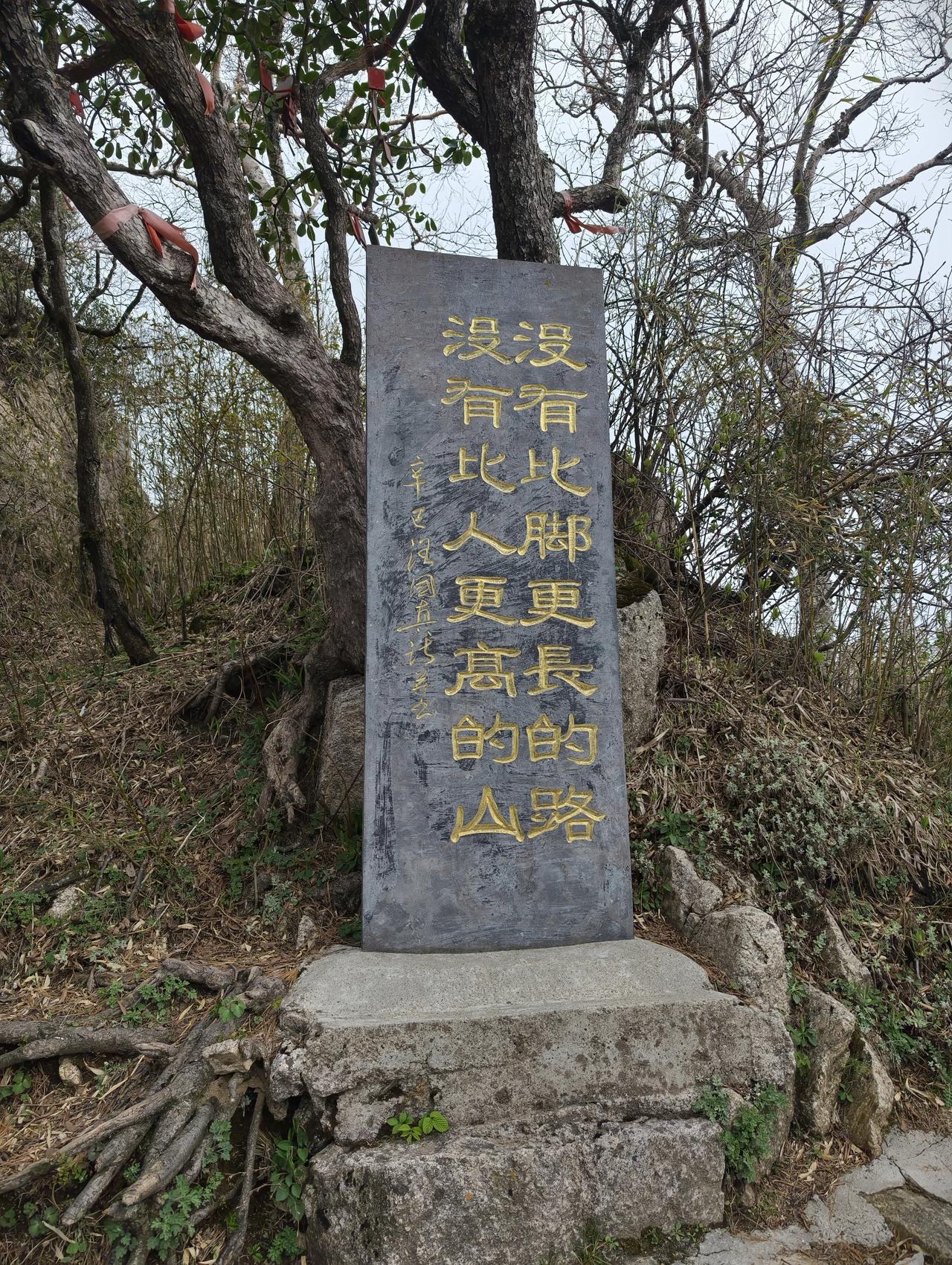 近现代以来，造成人类重大灾难的，几乎都来自于“正直自恋”不管是狂热的纳粹德国