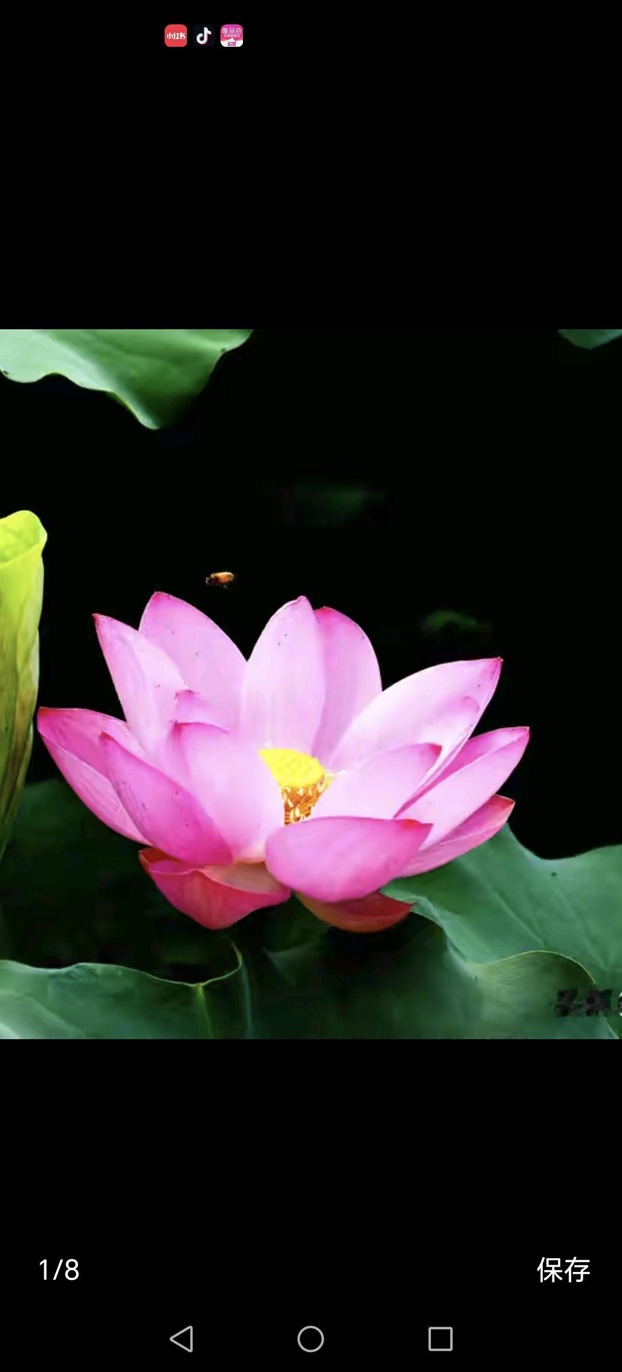 我是学生家长,孩子玩手机,是现代家庭中常见的场景,也是许多父母心头的难题。我们都