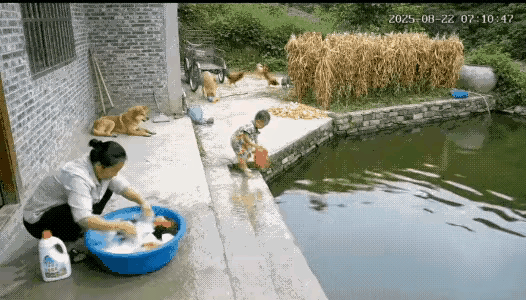 “太通人性了”！奶奶在屋后洗衣服，小孙子拿着玩具在河边玩耍，小孙子将玩具扔进河里