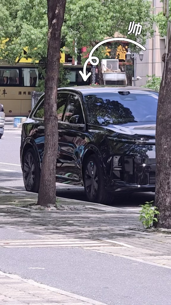 理想L8livis已提车50天目前情绪价值拉满梦中情车就是那么喜欢提车后疯狂得跑高速出差300km能