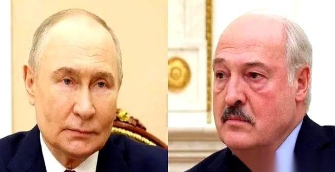 白俄老卢那句话，真给我听愣了。他说普京，比狼还凶。可一扭头说起咱们，话锋全变