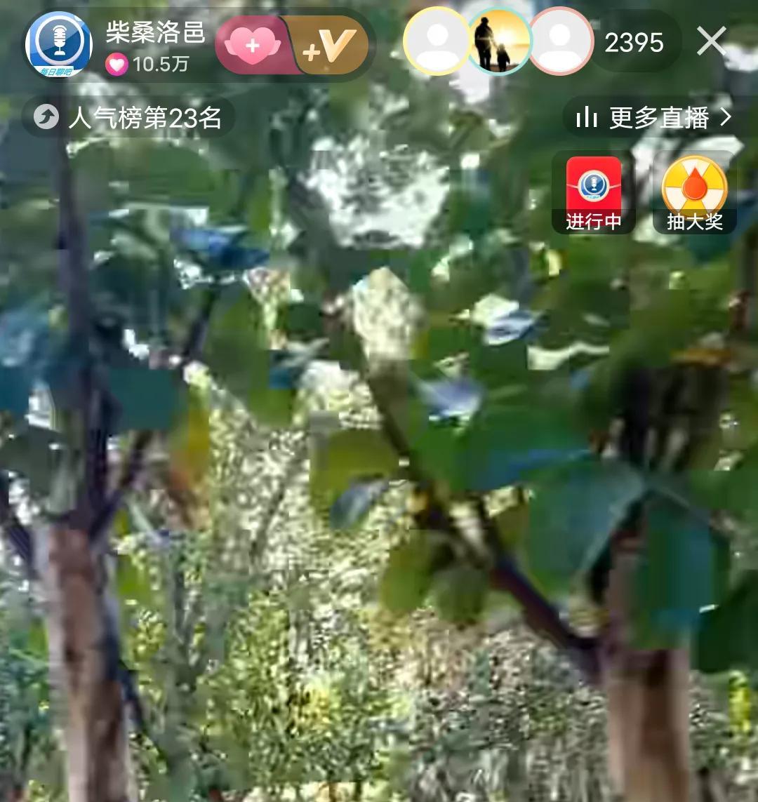 柴桑大姐说，9291定会载入史册的！他们会永远牢牢的钉在耻辱柱上，这次会议意