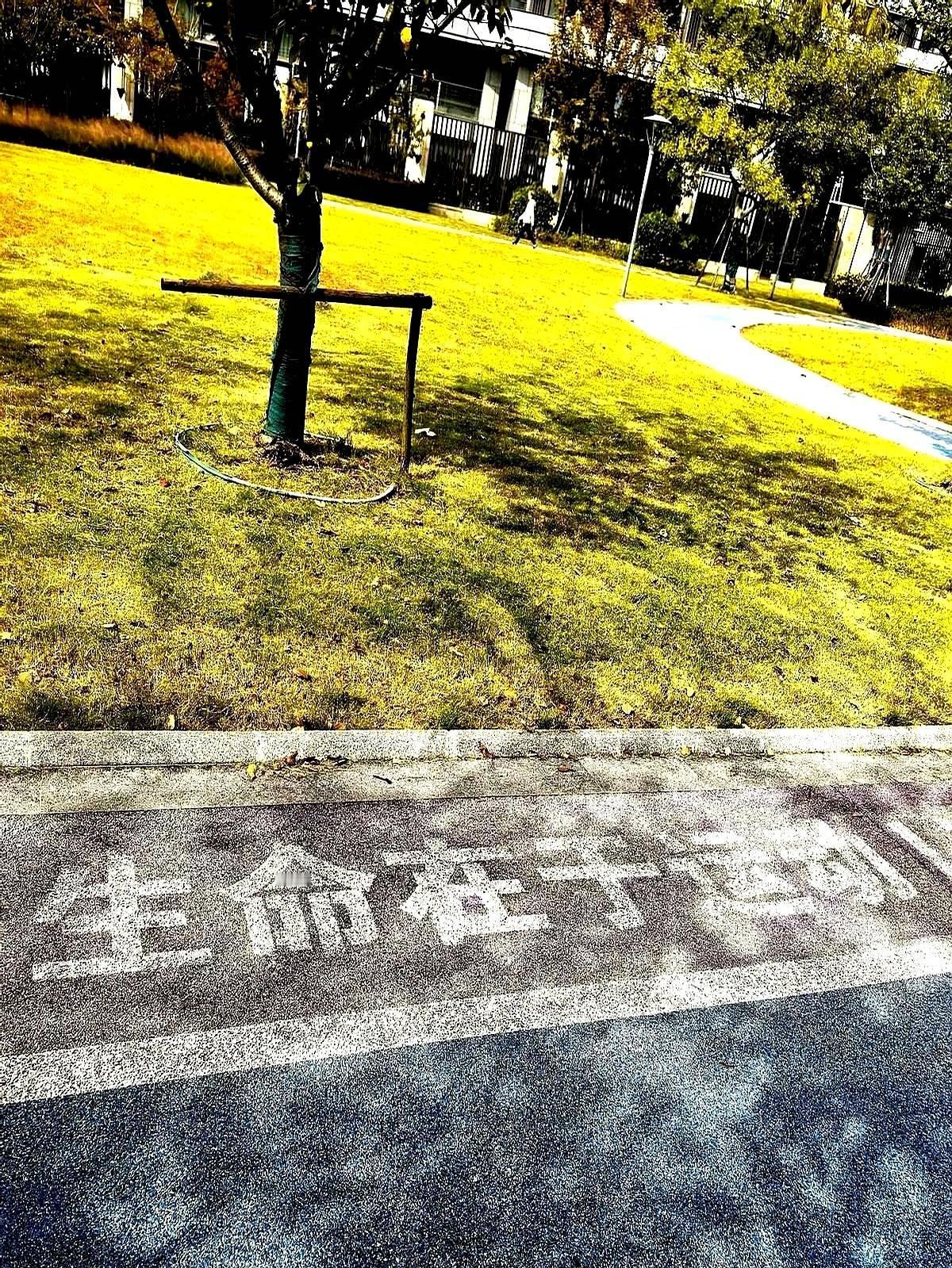 “医生，止疼片能再给我开两盒吗？”“不用了，直接给你减掉。”这是上周在骨