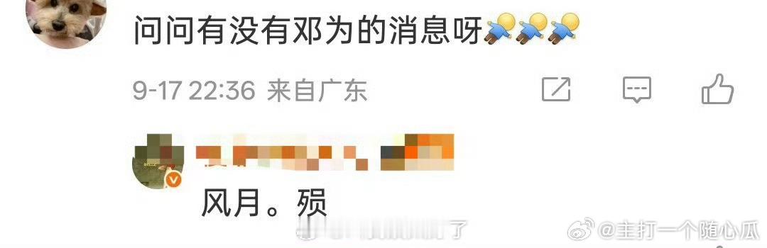 《风月不相关》又传要停拍了[捂脸哭]真是命运多舛​​​