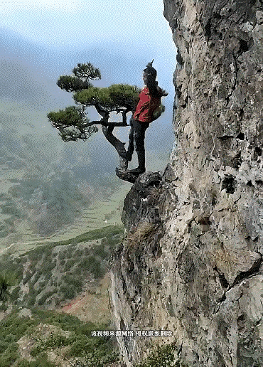 这生意只适合中午做！