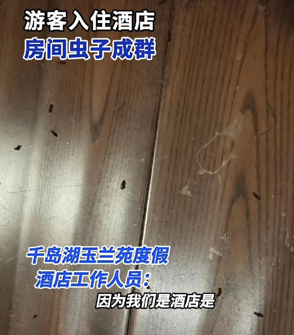 浙江杭州一女子发视频称与家人孩子入住一家酒店，当天晚上发现卫生间有一些虫子，没有