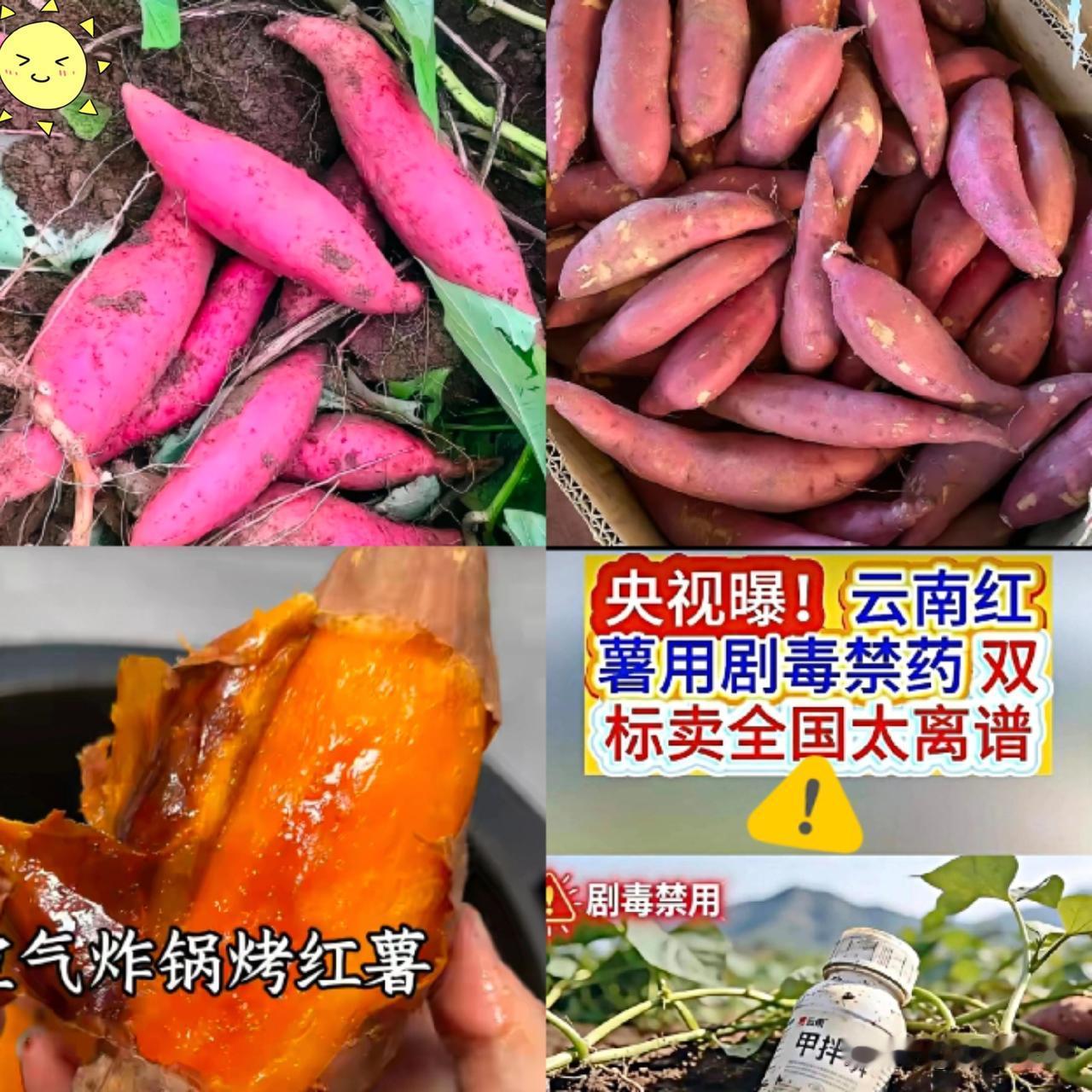 这也太胆大包天了！央视曝光的剧毒农药黑幕，看完瞬间头皮发麻，这哪里是做买卖，纯纯